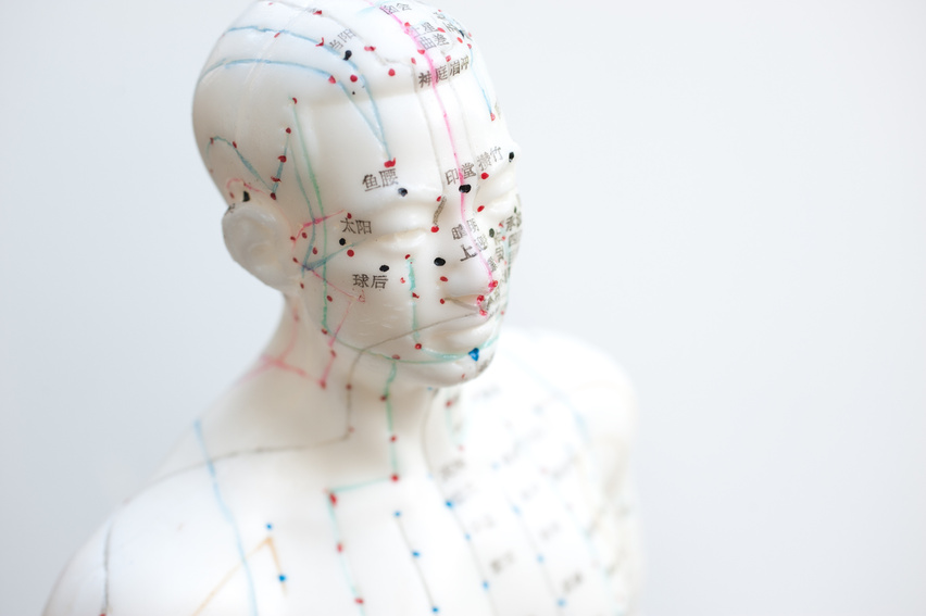 Human Body Mannequin for Acupunture